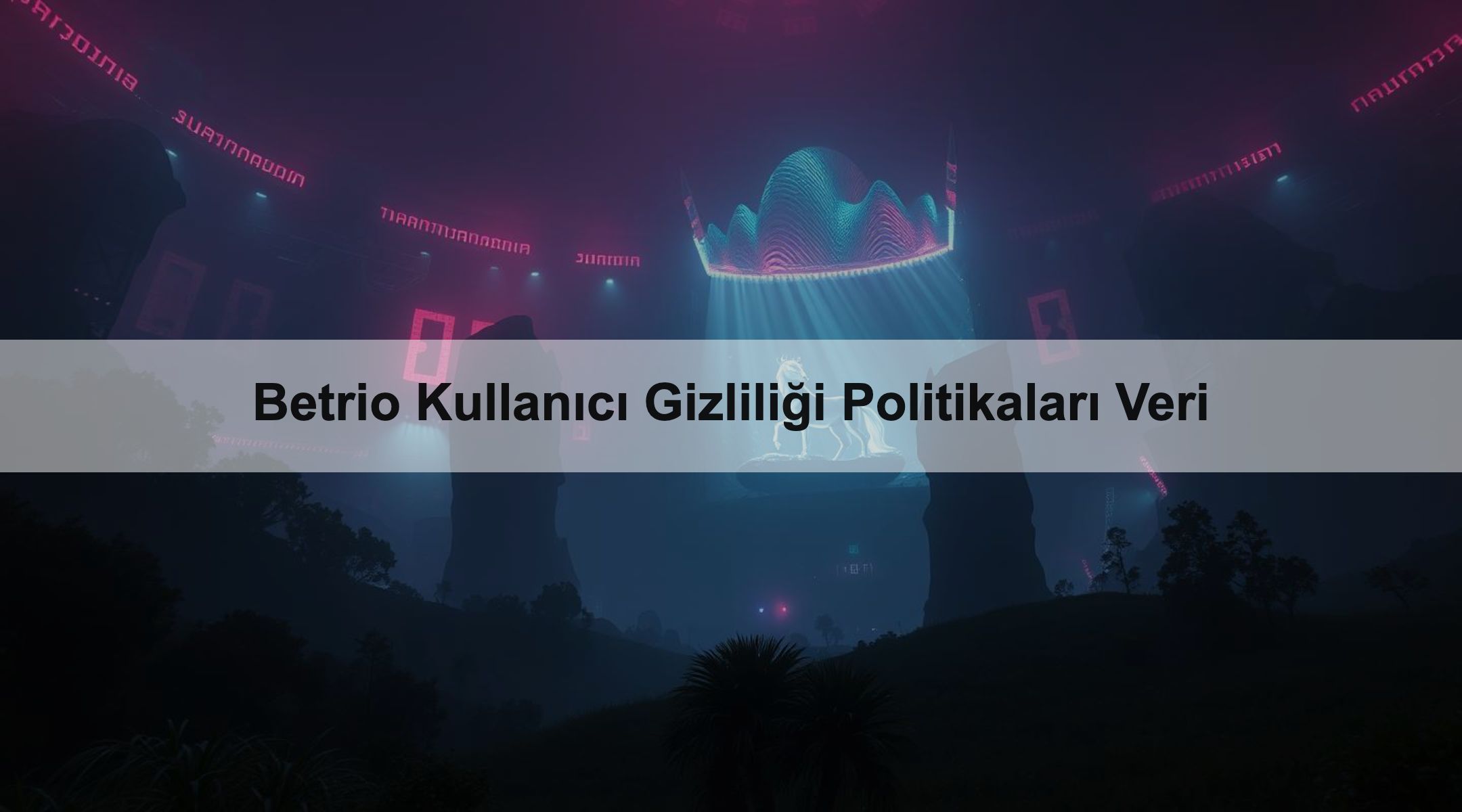 Betrio Kullanıcı Gizliliği Politikaları Veri